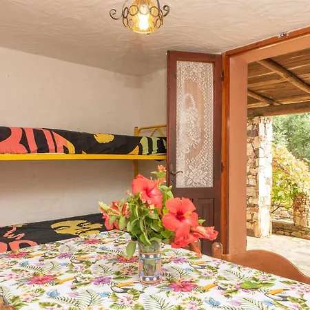 Apartmán Runcina 1 *